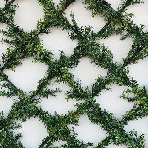 Meet your Posher, Addie